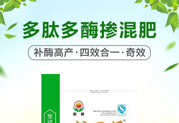 ���Ķ�ø�������27-13-8-���ﱣ-���