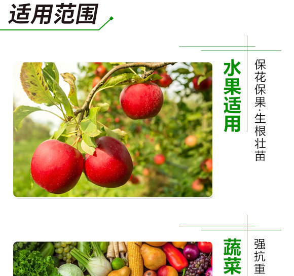 ���Ķ�ø�������27-13-8-���ﱣ-���