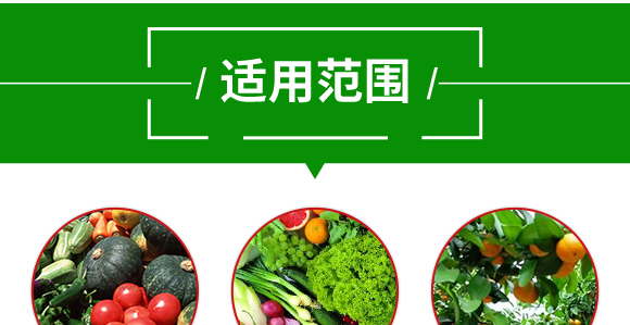 ��(f��)�Ϸ���27-13-10-��֩��-������