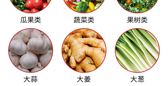 ��(f��)�Ϸ���27-13-10-��֩��-������