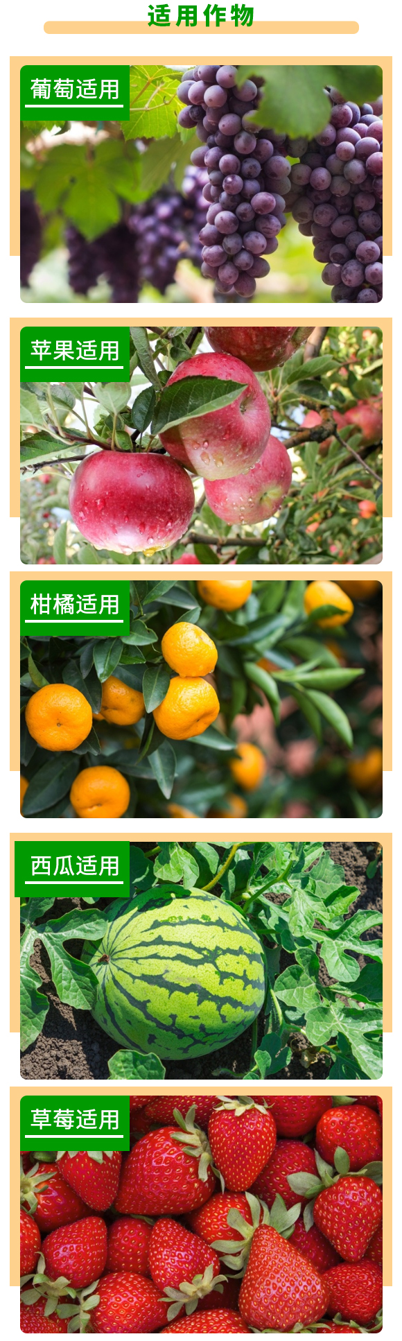 ԭ���B(t��i)��ֲ��-�����_(d��)-��������