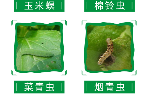 12%�׾S���x(ch��ng)����Ҹ���-����ȭ-嫪{�r(n��ng)�I(y��)