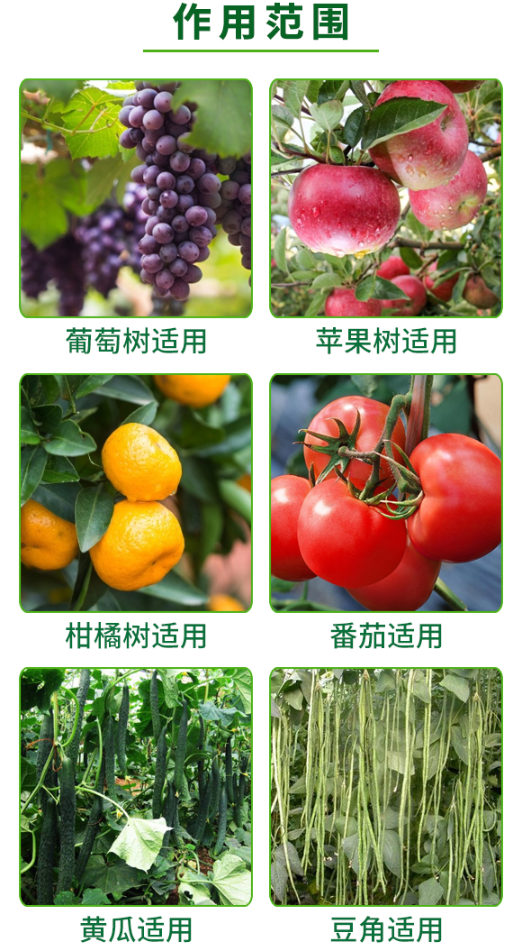 ȫ���ЙC(j��)̼-������-�W�¸�