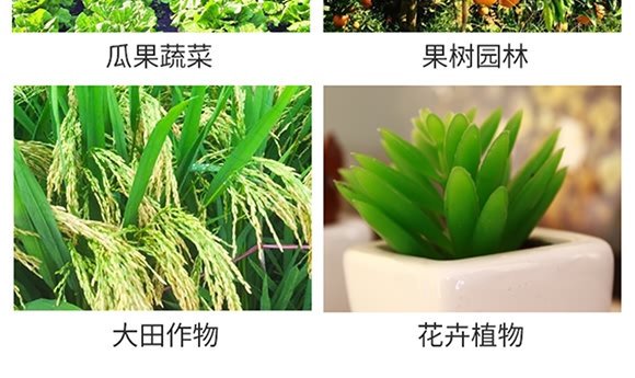 ϩ������-˼�_(d��)˪��-���r(n��ng)˼�_(d��)