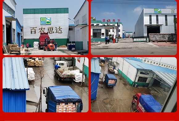 ϩ������-˼�_(d��)˪��-���r(n��ng)˼�_(d��)