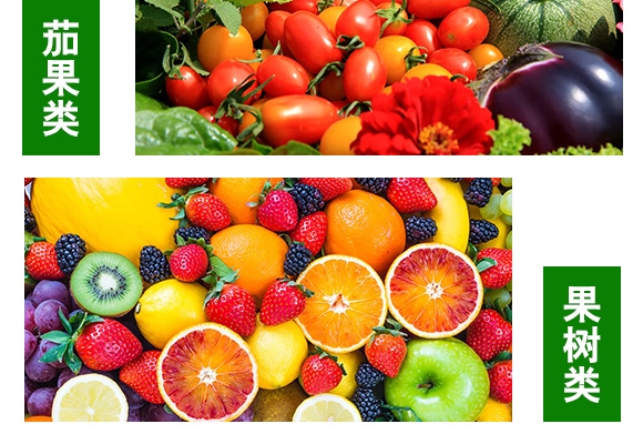 �V�|(zh��)�j(lu��)���}-���r(n��ng)�W��