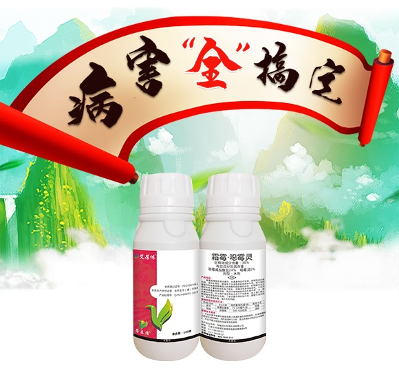 ˪ù����ù�`-����z-��ֲ���A