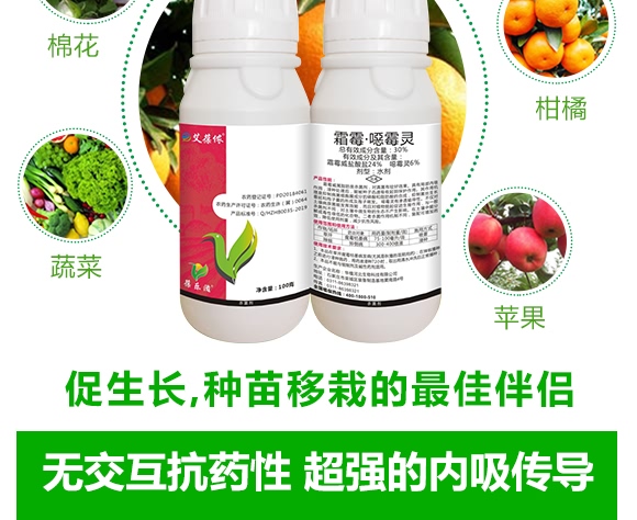 ˪ù����ù�`-����z-��ֲ���A