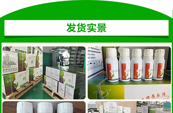 ˪ù����ù�`-����z-��ֲ���A