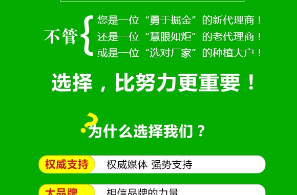 ˪ù����ù�`-����z-��ֲ���A