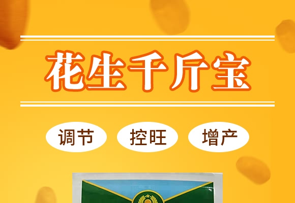 ����ǧ�-������-���̷ʘI(y��)