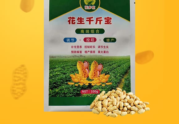 ����ǧ�-������-���̷ʘI(y��)