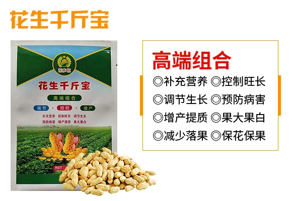 ����ǧ�-������-���̷ʘI(y��)