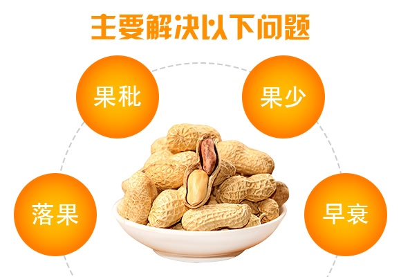 ����ǧ�-������-���̷ʘI(y��)