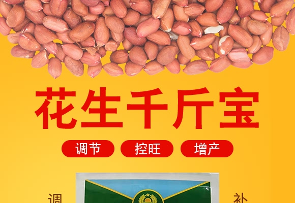 ����ǧ�-������-���̷ʘI(y��)