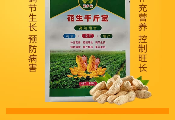 ����ǧ�-������-���̷ʘI(y��)