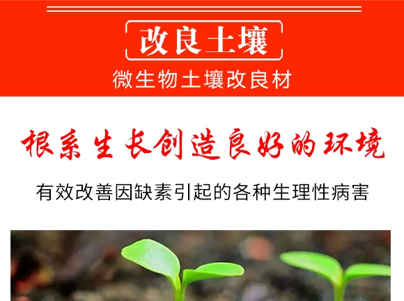 ΢��������������-���ǻ��r(n��ng)