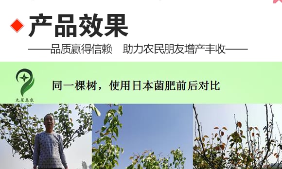 ΢��������������-���ǻ��r(n��ng)