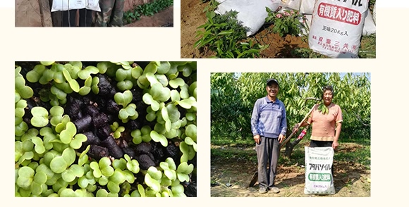 ΢��������������-���ǻ��r(n��ng)