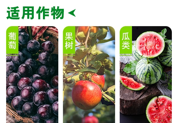 復(fù)合肥料15-6-26-沃魯特 復(fù)合肥料15-6-26-沃魯特