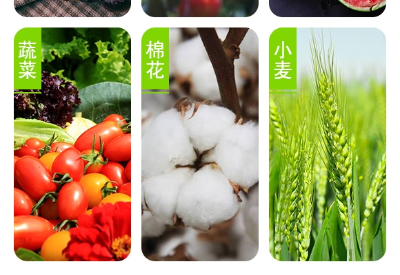 復(fù)合肥料15-6-26-沃魯特 復(fù)合肥料15-6-26-沃魯特