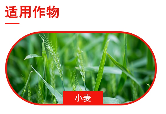 黑牛-雙效智能肥20-20-10 黑牛-雙效智能肥20-20-10