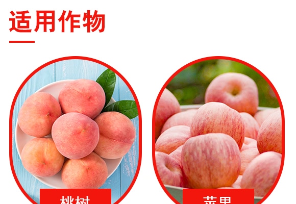 ΢�������-��ţ1̖(h��o)-��ţ�ʘI(y��)