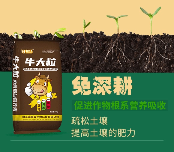 ��ǵ��נI(y��ng)�B(y��ng)Һ-ţ����-���Wɭ