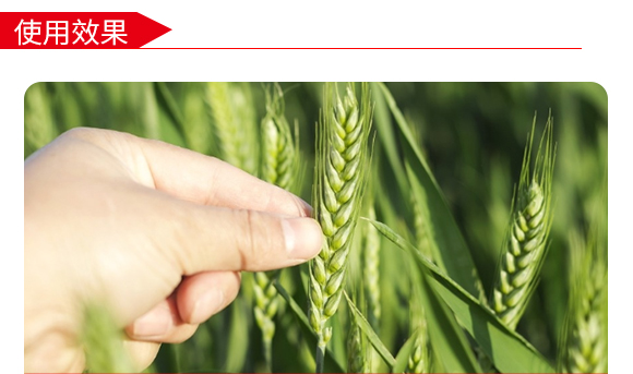 ���S3̖-С���N��-�̶��N�I(y��)