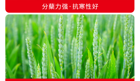 ���S3̖-С���N��-�̶��N�I(y��)