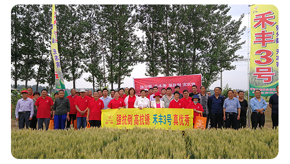 ���S3̖-С���N��-�̶��N�I(y��)