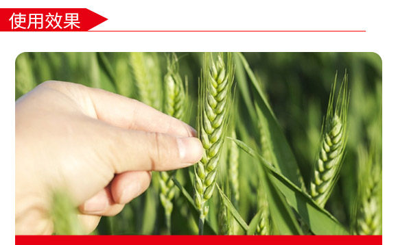 �ȿ�048-С���N-�̶��N�I(y��)