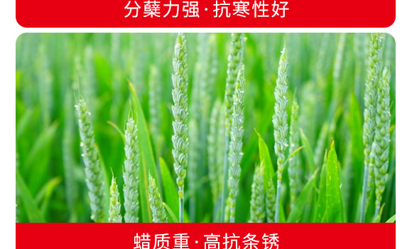 �ȿ�048-С���N-�̶��N�I(y��)