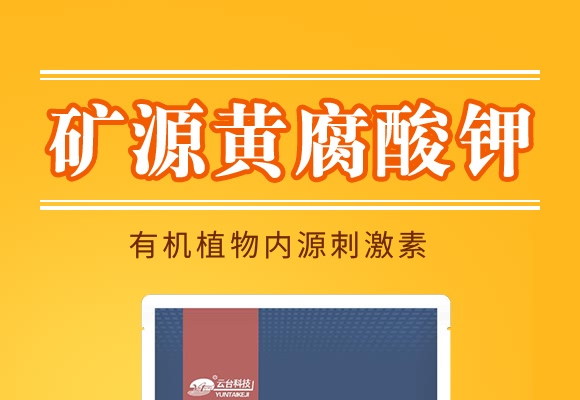 500g�VԴ�S�����-���_��