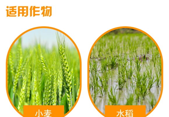 500g�VԴ�S�����-���_��