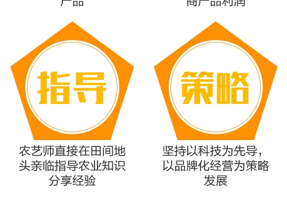 500g�VԴ�S�����-���_��