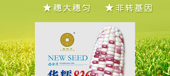 �AŴ836-���׷N��-�A��N�I(y��)