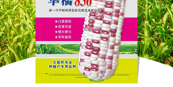 �AŴ836-���׷N��-�A��N�I(y��)