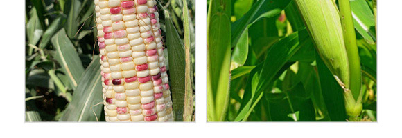 �AŴ836-���׷N��-�A��N�I(y��)