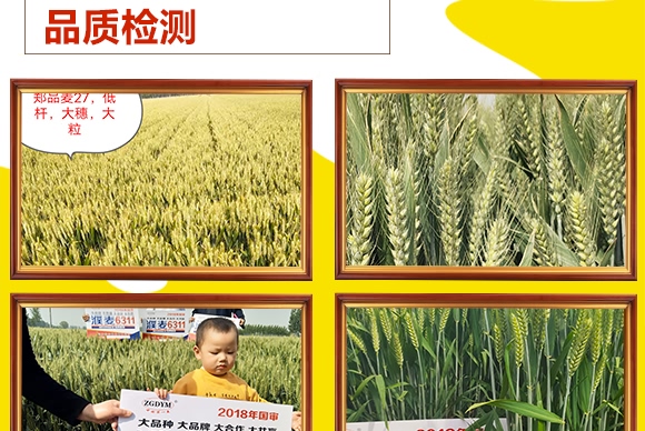 ��Ʒ��27̖-С���N��-���N�I(y��)