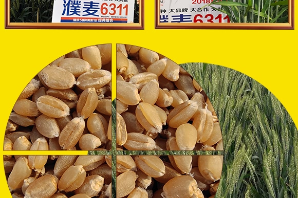 ��Ʒ��27̖-С���N��-���N�I(y��)