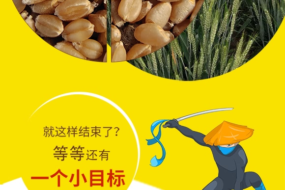 ��Ʒ��27̖-С���N��-���N�I(y��)