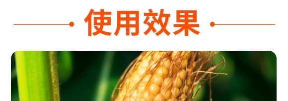 �������28-10-12���tɫ��-���S