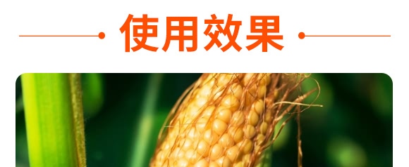 �������28-10-12���Gɫ��-���S