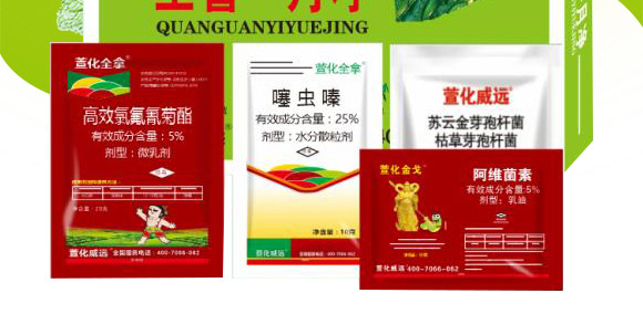 ȫ��һ��-�滯���h