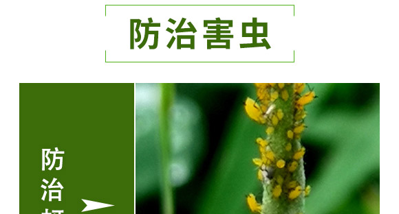 ȫ��һ��-�滯���h