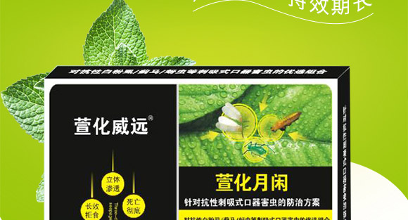 �滯���e-�滯���h