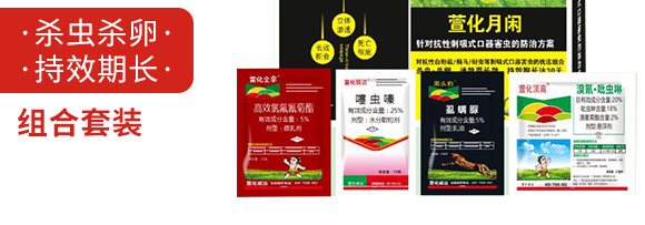 �滯���e-�滯���h