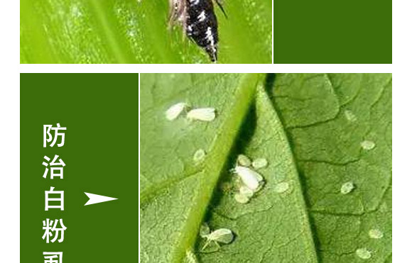 �滯���e-�滯���h