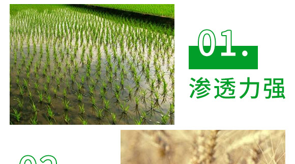 �S�ס�������-��ȭ-�L�p�r(n��ng)ˎ